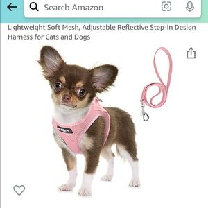 New Fita dog harness and leash